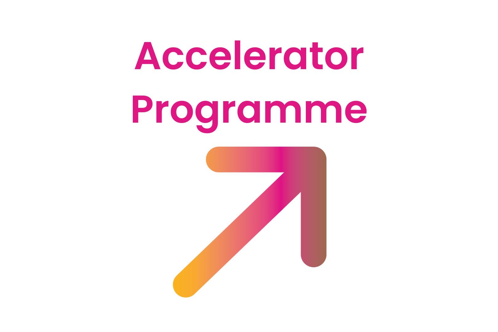 activ accelerator programme